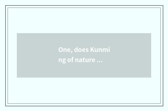 One, does Kunming of nature wood door have manufacturer?