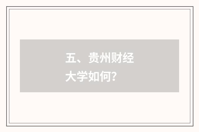 五、贵州财经大学如何？