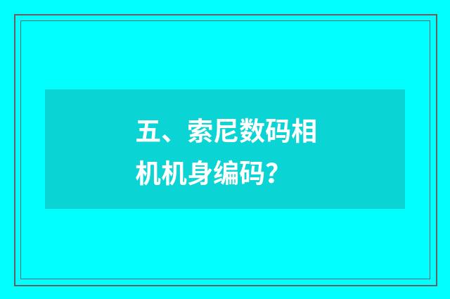 五、索尼数码相机机身编码？