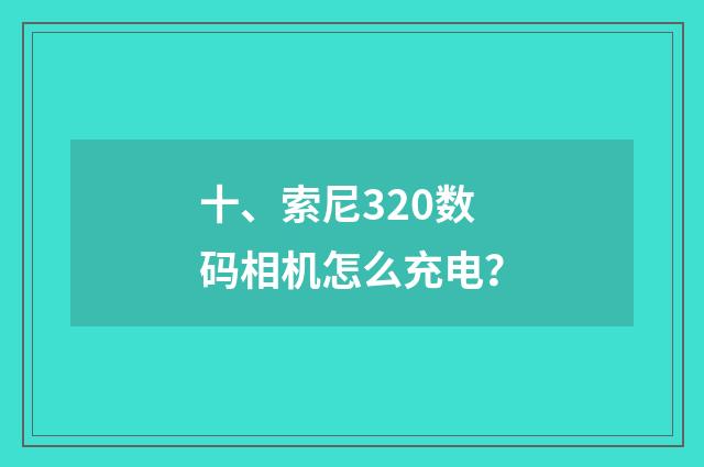 十、索尼320数码相机怎么充电？