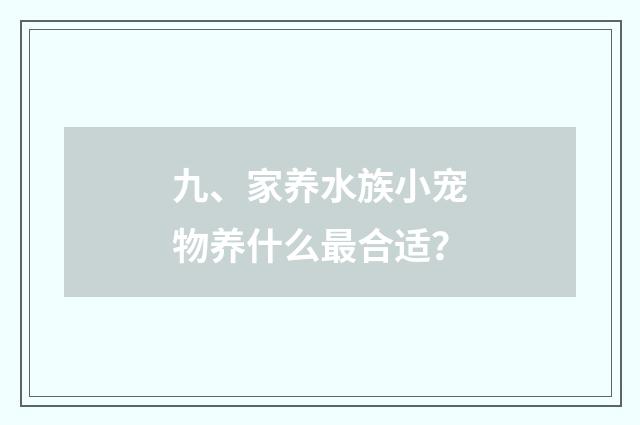 九、家养水族小宠物养什么最合适？