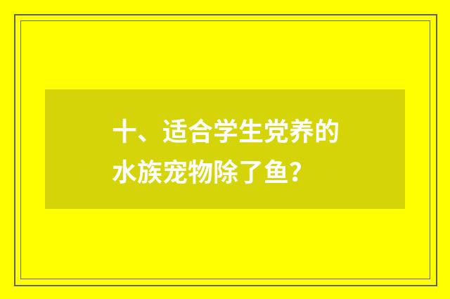 十、适合学生党养的水族宠物除了鱼？