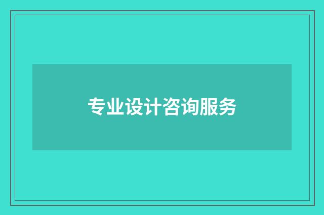 专业设计咨询服务