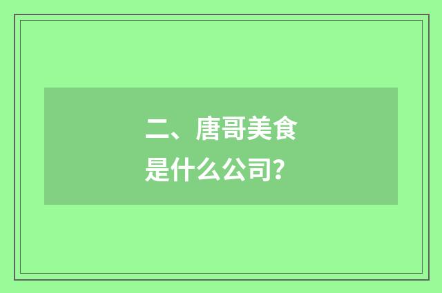 二、唐哥美食是什么公司？