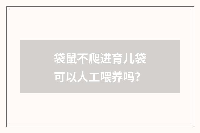 袋鼠不爬进育儿袋可以人工喂养吗？