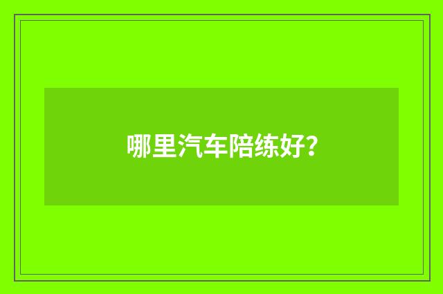 哪里汽车陪练好？