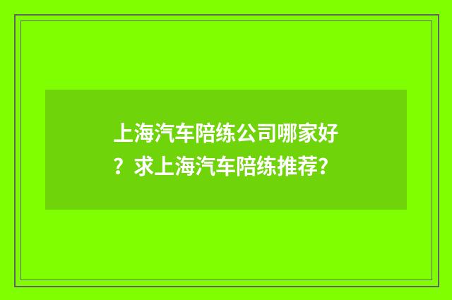 上海汽车陪练公司哪家好？求上海汽车陪练推荐？