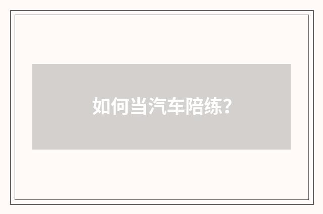 如何当汽车陪练？