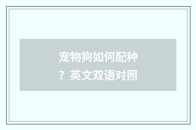 宠物狗如何配种？英文双语对照