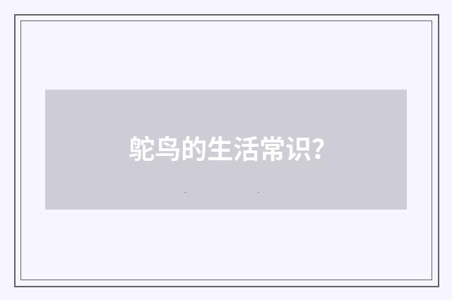 鸵鸟的生活常识?