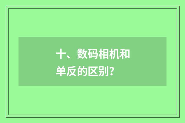 十、数码相机和单反的区别?