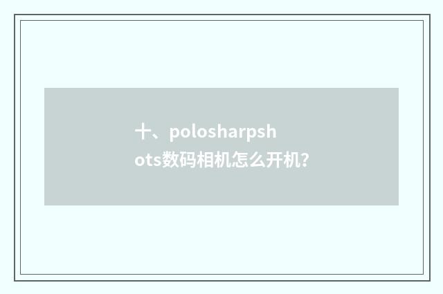 十、polosharpshots数码相机怎么开机？