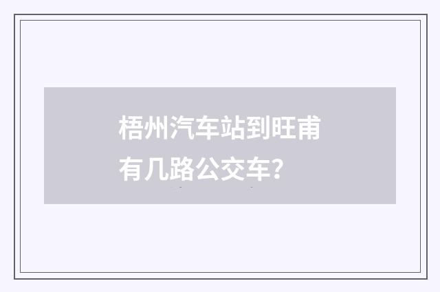 梧州汽车站到旺甫有几路公交车？