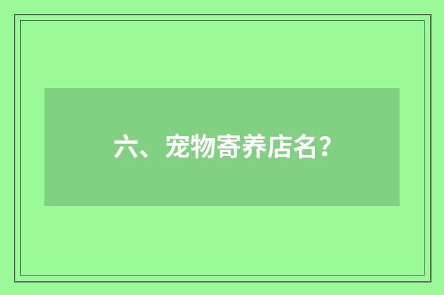 六、宠物寄养店名?