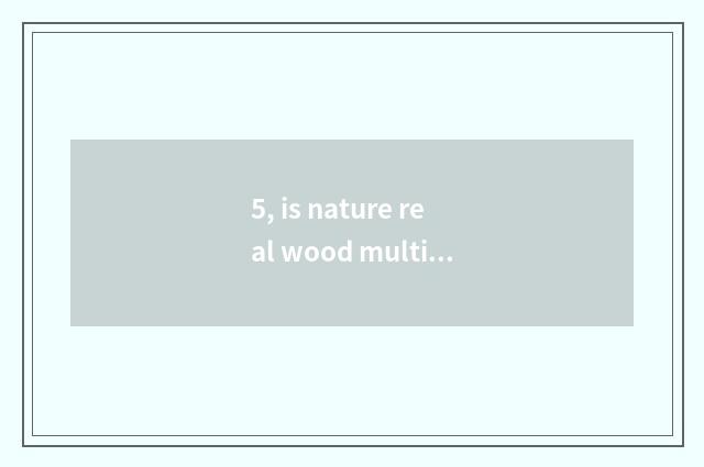 5, is nature real wood multilayer floor environmental protection?