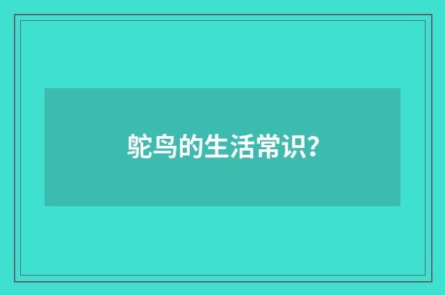 鸵鸟的生活常识？