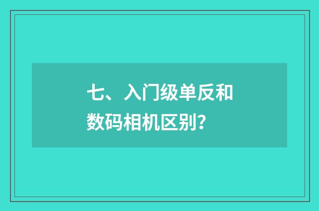 七、入门级单反和数码相机区别？