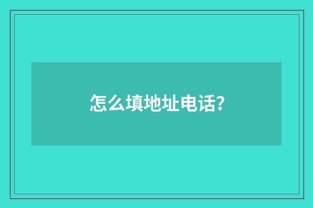 怎么填地址电话？