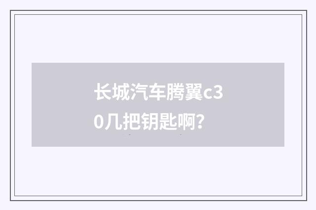长城汽车腾翼c30几把钥匙啊？