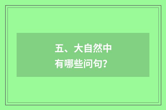 五、大自然中有哪些问句？