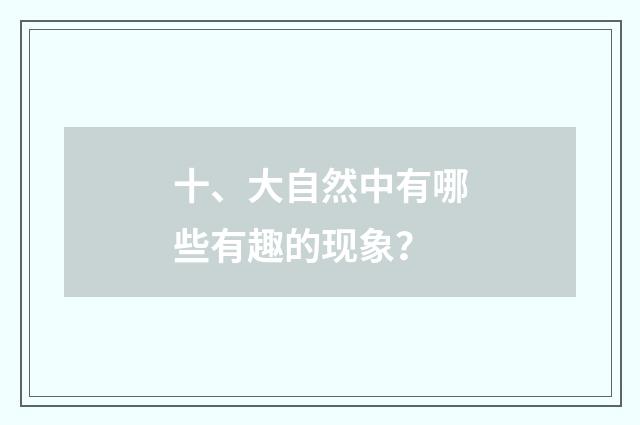 十、大自然中有哪些有趣的现象？