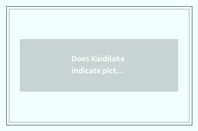 Does Kaidilake indicate picture encyclopedia?