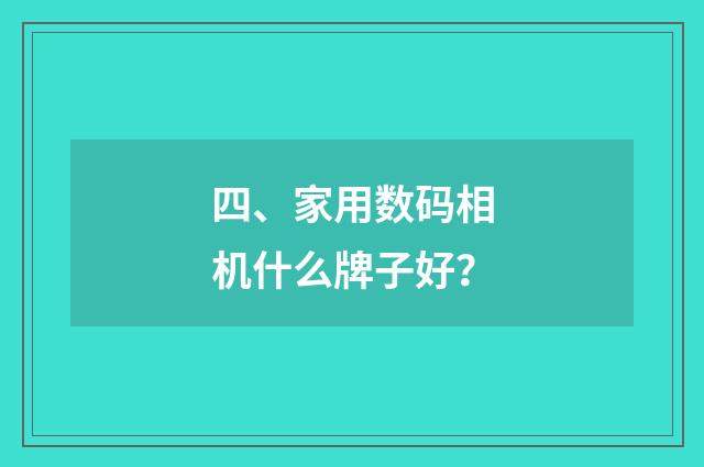 四、家用数码相机什么牌子好？