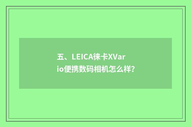 五、LEICA徕卡XVario便携数码相机怎么样？