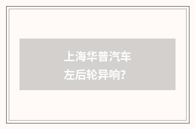 上海华普汽车左后轮异响？
