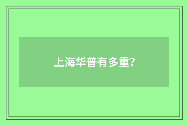 上海华普有多重？