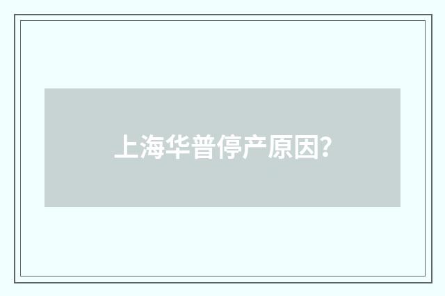 上海华普停产原因？