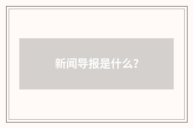 新闻导报是什么？