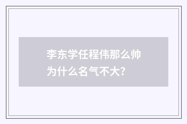 李东学任程伟那么帅为什么名气不大？