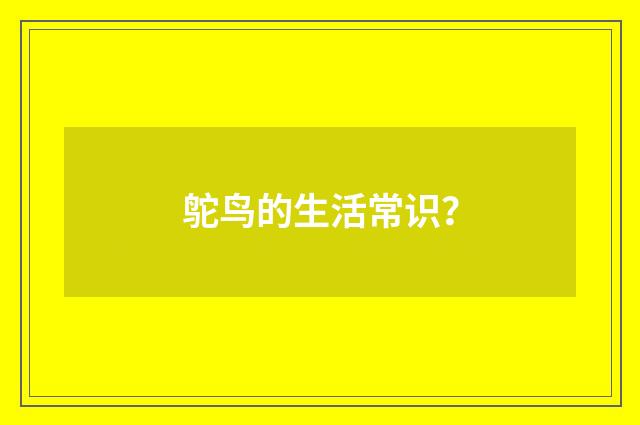 鸵鸟的生活常识?