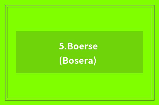 5.Boerse (Bosera)