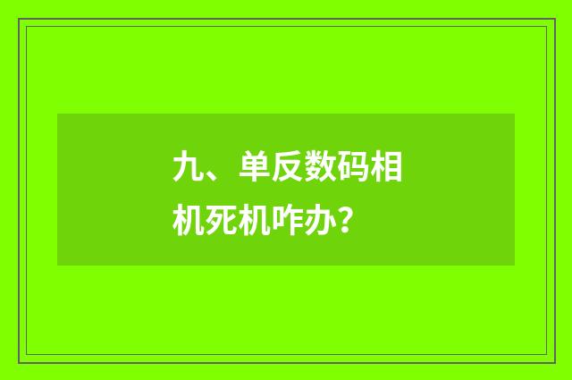 九、单反数码相机死机咋办？