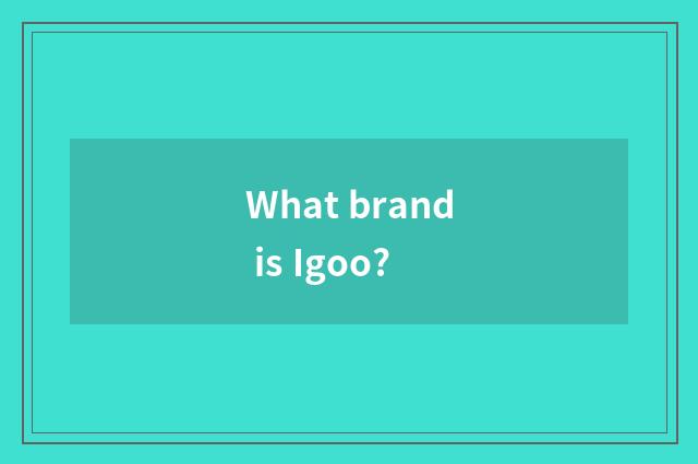 What brand is Igoo?