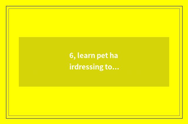 6, learn pet hairdressing to groom where to go learning?