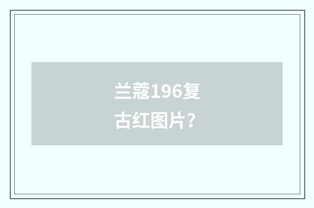 兰蔻196复古红图片？