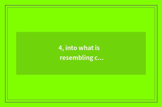 4, into what is resembling chip?
