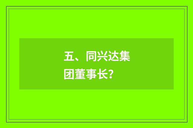 五、同兴达集团董事长？