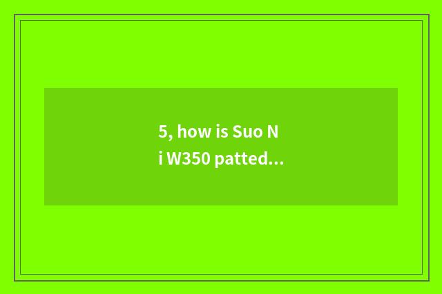 5, how is Suo Ni W350 patted oneself?