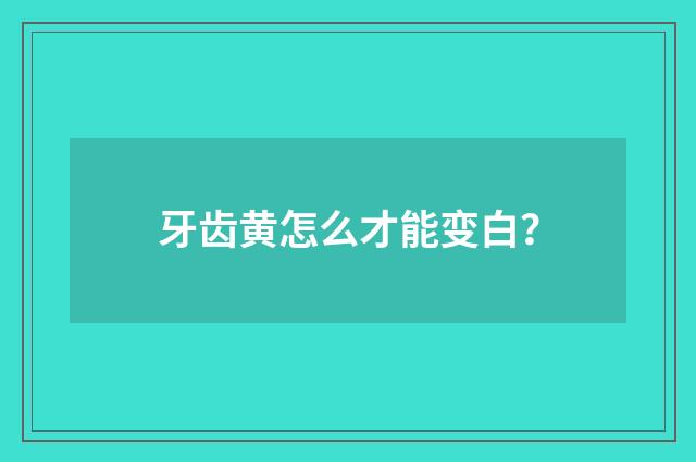 牙齿黄怎么才能变白?