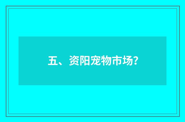 五、资阳宠物市场？