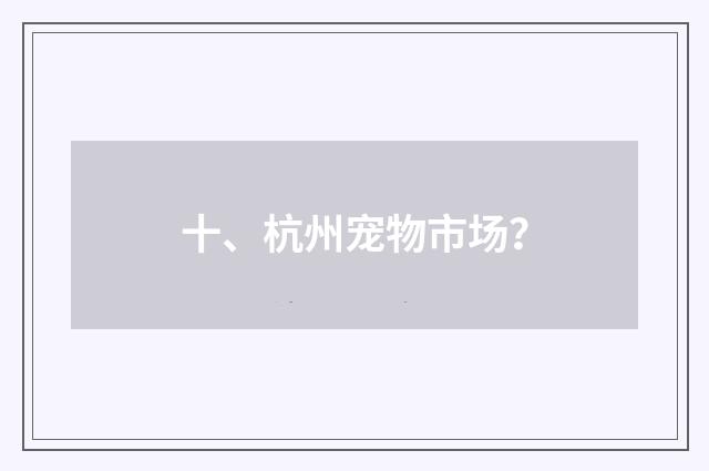 十、杭州宠物市场？