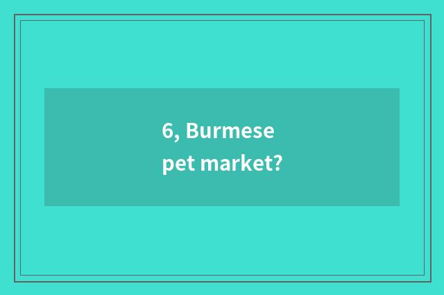 6, Burmese pet market?