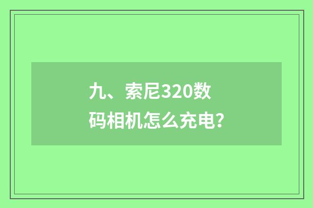 九、索尼320数码相机怎么充电？
