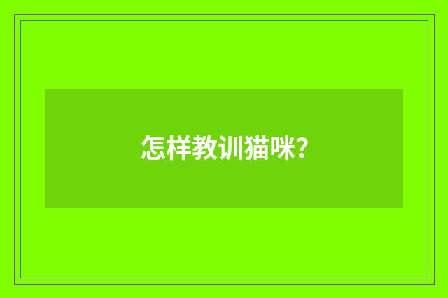 怎样教训猫咪？