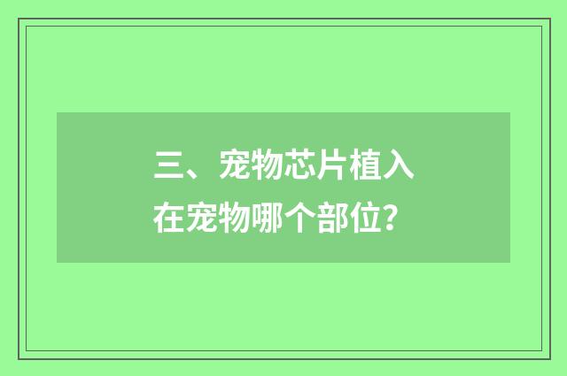 三、宠物芯片植入在宠物哪个部位?