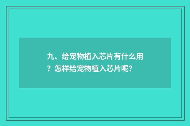 九、给宠物植入芯片有什么用?怎样给宠物植入芯片呢?